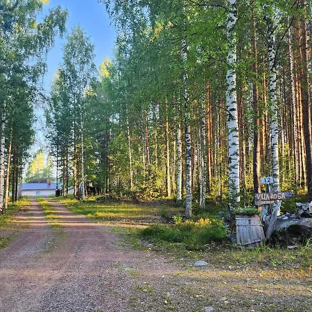 Bright Summer By The *